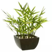 Atmosphera Dirbtinis augalas BAMBUS vazone, aukštis 35 cm