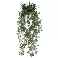 Art-Pol Dirbtinis augalas PEPEROMIA, kabantis