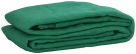 Tinklas priekabai, žalios spalvos, 3x5m, HDPE