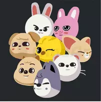 Omaart Stray Kids SKZOO