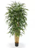 Dirbtinis augalas Bambukas 210cm