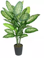 Dirbtinis augalas Difenbachija 115cm