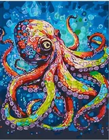 Omaart Spalvotas aštuonkojis