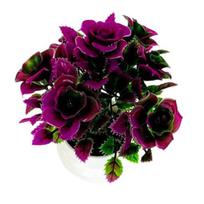 Puntos Artificial Plastic Non Fading 1 Set Bonsai Decorative Simulation Chinese Rose Plants rožinė raudona spalva