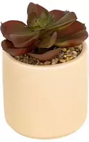 Atmosphera Dirbtinis sukulentas NILS vazonėlyje, 12 cm