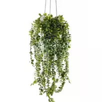 Dirbtinis kabantis augalas SENECIO, 60 cm