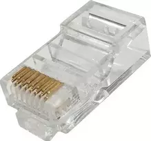 NetRack RJ45 UTP cat 5e kištukas, laidas, Netrack, tiesus (100 vnt.)