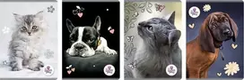Beniamin Notebook A5/80K The Sweet Pets linija (5 vnt.)