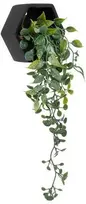 Dekoratyvinis augalas 45 cm juodas vazonas Atmosphera 155634A