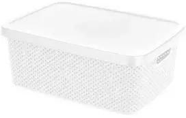 Storage Solutions Plastikinis indas su dangteliu, 13 l