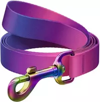 WAUDOG gradientinis nailoninis pavadėlis šuniui, 20 mm pločio, 122 cm ilgio, violetinis