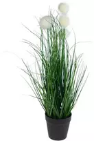 Dirbtinė pampų žolė vazonėlyje, 50 cm