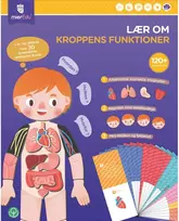 mierEdu – Magnetinė mokymosi dėžutė – Viskas apie kūną ir emocijas (danų k.) – (ME097D)