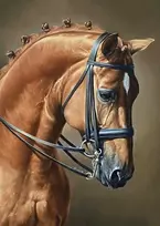 Wizardi Beldizart Šuoliai su žirgais 27 х 38 cm WD256