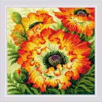 Riolis Ugniniai aguonos 40x40 SR2080