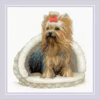 Riolis Kryželiu siuvinėjimo rinkinys Jorkšyro terjeras 25x25 SR2152