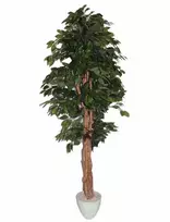 Dirbtinis augalas Fikusas MEZZO 180cm