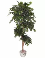 Dirbtinis augalas Fikusas PLY 180cm