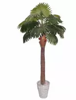 Dirbtinis augalas Palmė ALTO 210cm