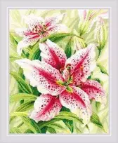 Lilies Siuvinėjimo rinkinys iš RIOLIS Nr.: 2000