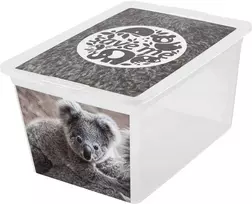 Branq Laikymo dėžė X box deco koala 30L Skaidri
