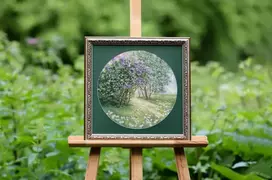 Beldizart Siuvinėjimo kryželiu rinkinys "Žydinti alyva" 31.7x31.7 cm S/VM043