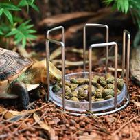 Feeding Bowl for Turtles, Feeder Reptiles, Food Bowl, Multi-purpose Water Clear Tray