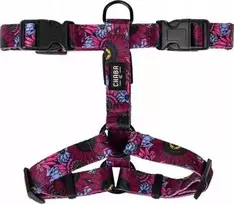 Chaba CHABA GUARD STORY DIRŽAI ``L`` LAKOTA 2,5/50-57cm