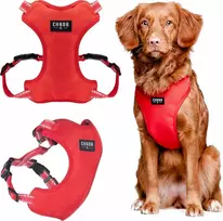 Chaba CHABA GUARD COMFORT XS DIRŽAI 1,6 cm / 32-37 cm RAUDONA