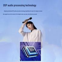 Edifier PK305 Portable Bluetooth Karaoke Speaker with Microphone CN plug (adapter included)
