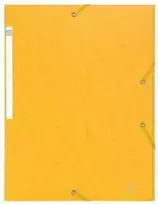 Exacompta 55759E, A4, Kartonas, Geltonas, Portretas, 350 lapų, 425 g/m²
