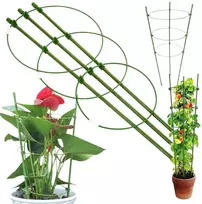Augalų atrama žiedinė 60cm žalia