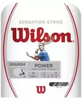 WILSON Sensation Strike 1.24mm stygos skvošui
