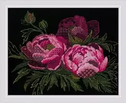 Riolis Nėrinių bijūnai SR2024