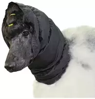 Show Tech Snood raištis ausims apsaugoti, juodas, S