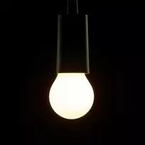 Segula 55303 LED lemputė šiltai balta 6,2 W E27 G