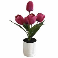 3/5 Heads Artificial Tulip Flower Bonsai Multicolor White Flowerpot Simulation Flower Bonsai Photo Props Faux Flower Potted Gift