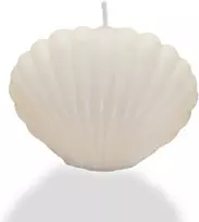 Homepro Rankų darbo Shell žvakė Natūralus vaškas su medvilniniu dagčiu Ideali dovana ir namų dekoras