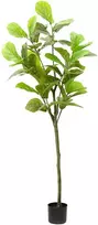 Dirbtinis fikusas, žalios spalvos, 165cm, 48 lapai