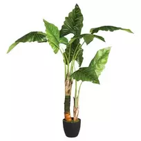 Atmosphera Dirbtinis augalas vazone BANANOWIEC, 132 cm