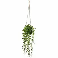 Atmosphera Easy Dirbtinė gebenė lengvai prižiūrimam augalui pakabinti