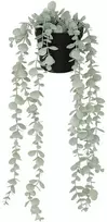 Atmosphera Dirbtinis eukaliptas MERLY, 51 cm