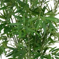 Bamboo Dirbtinis bambuko augalas 100 cm