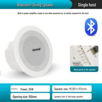 QIASHENG Commercial Bluetooth Ceiling Speaker System CN plug (adapter included)