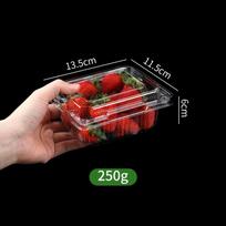 Vienkartinis plastikinis vaisių indelis su dangteliu 100 pieces
