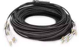 Digitus Cable LWL LC/UPC-LC/UPC OM4 75m juodas (DK-24338U075BK-BBB)