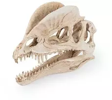 Happet Dekoracija Dinozauro kaukolė