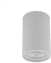 Lubinis šviestuvas Tk_Lighting Šviestuvas lubų TK Lighting Top 5766, GU10, baltas