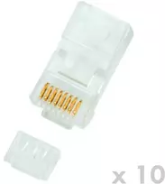 DATACOM kištukas UTP CAT6 8p8c - RJ45 laidas