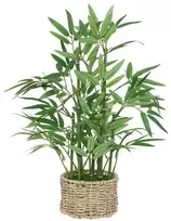 Bikuvalt Dekoratyvinis augalas Bambukas 32x46 cm, pintas vazonas Atmosphera 204209